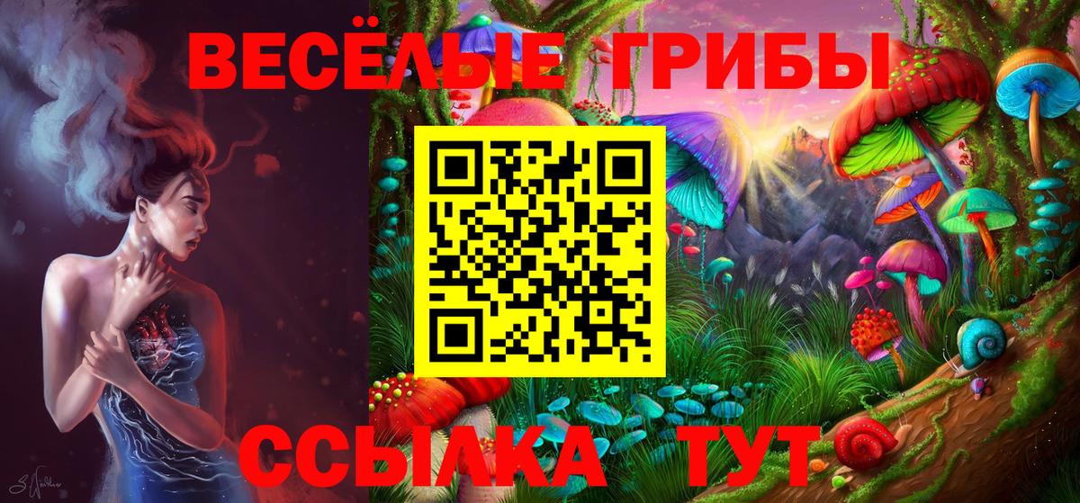 Минеральные Воды  Галлюциногенные грибы мухоморы  Вход с VPN 